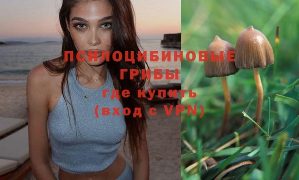 метадон Арсеньев