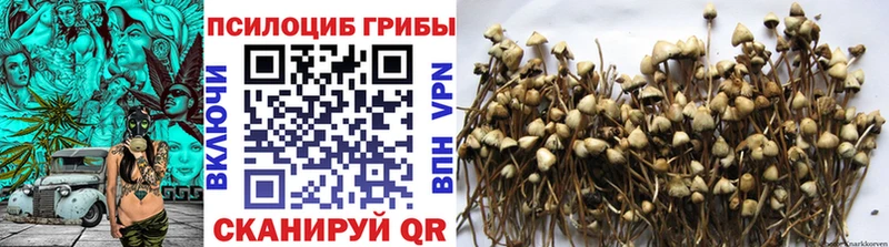 Псилоцибиновые грибы MAGIC MUSHROOMS  как найти закладки  Минусинск 